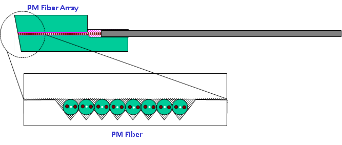 Polarization Maintaining Fiber Array